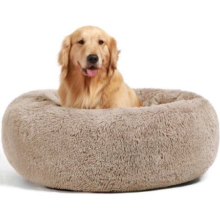 My Review Dog Beds Calming Donut Cuddler Puppy Dog Beds Dogs Indoor Dog Calming Beds